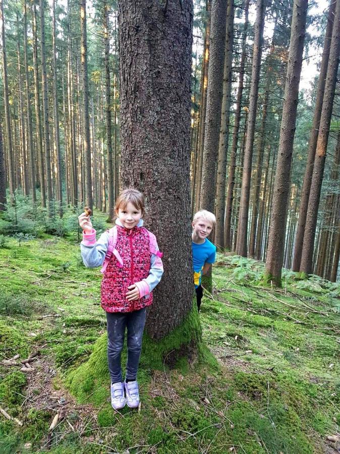 Gemuetliches Haus Im Herzen Des Schwarzwaldes Fuer Bis Zu 9 Personen Elzach Exteriör bild