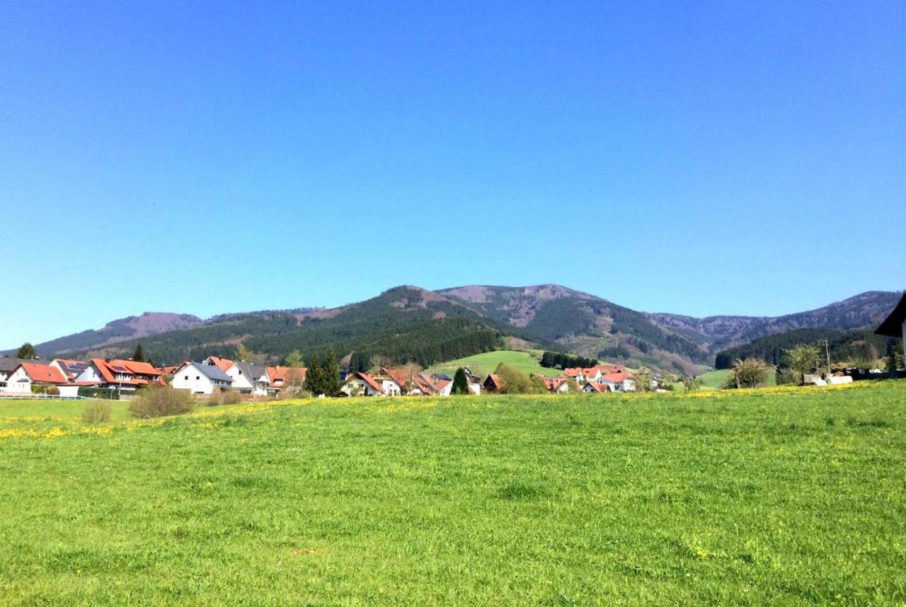 Gemuetliches Haus Im Herzen Des Schwarzwaldes Fuer Bis Zu 9 Personen Elzach Exteriör bild
