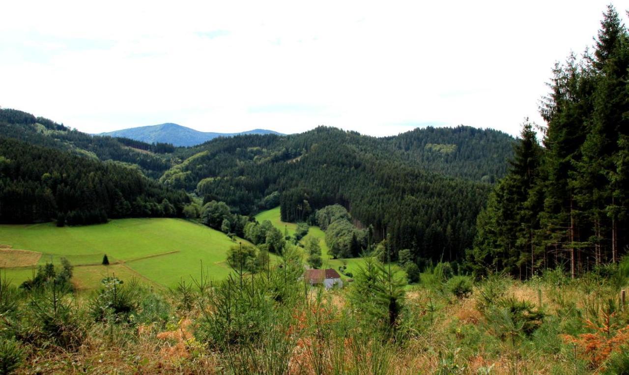 Gemuetliches Haus Im Herzen Des Schwarzwaldes Fuer Bis Zu 9 Personen Elzach Exteriör bild