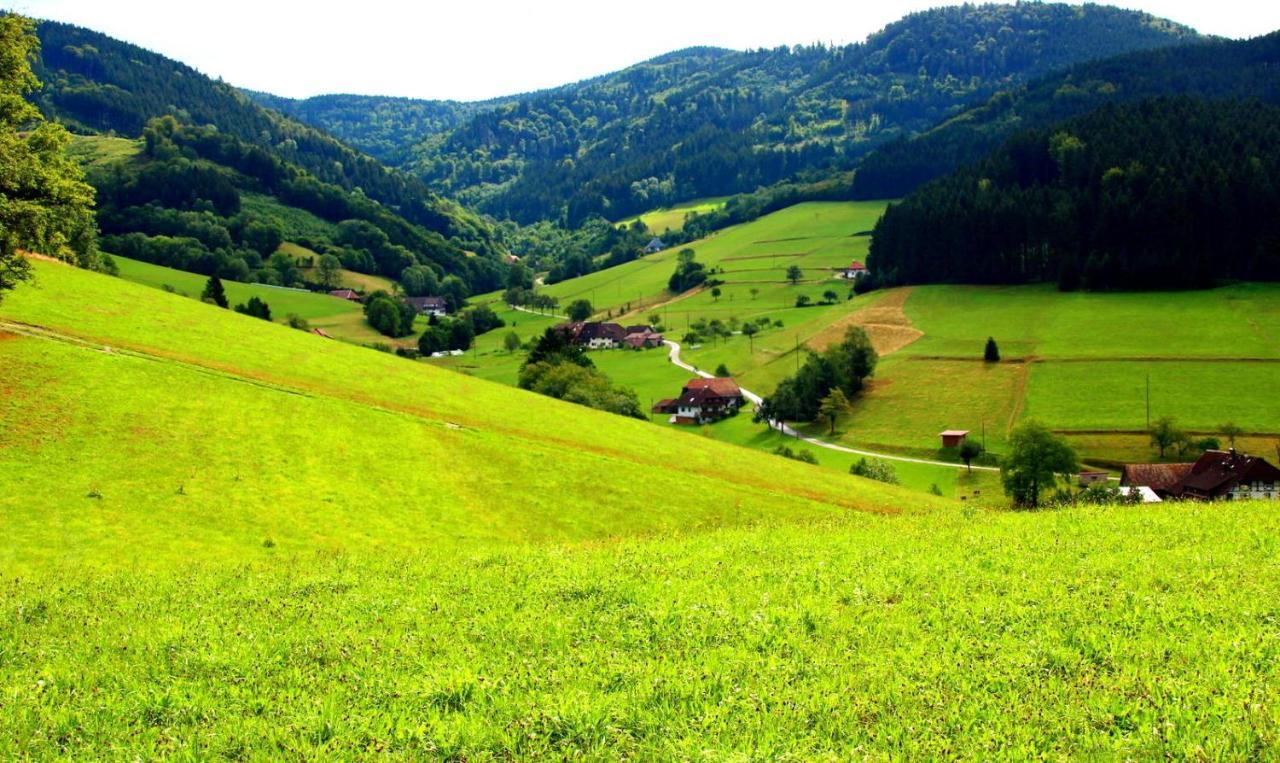 Gemuetliches Haus Im Herzen Des Schwarzwaldes Fuer Bis Zu 9 Personen Elzach Exteriör bild