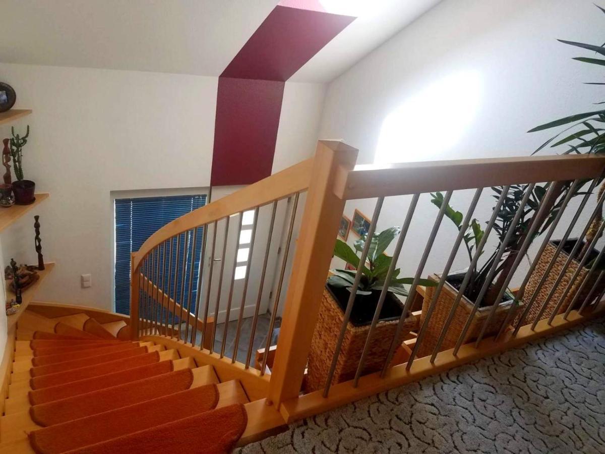 Gemuetliches Haus Im Herzen Des Schwarzwaldes Fuer Bis Zu 9 Personen Elzach Exteriör bild